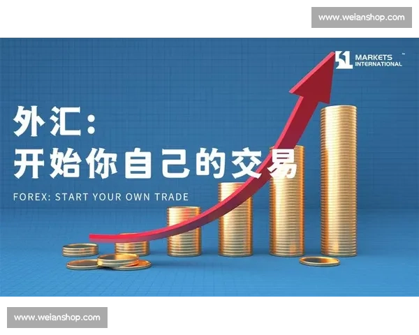 外汇交易竞技平台全面解析与实战策略指南 外汇交易竞技平台全面解析与实战策略指南