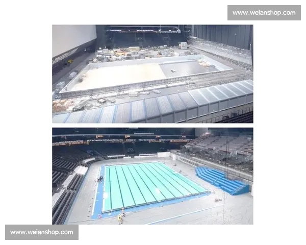 奥运会游泳赛事全景解析：历史发展、热门项目及未来趋势探讨