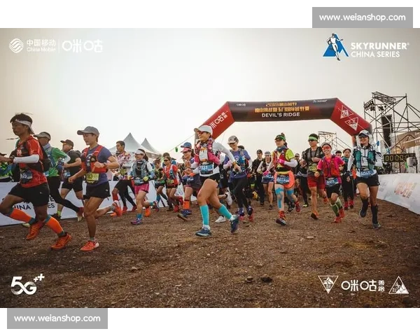 性比赛现场直播平台：全球最新赛事在线免费观看与互动体验