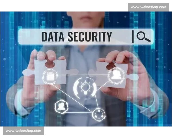 企业数据安全与隐私保护战略：构建全方位防护体系应对新挑战